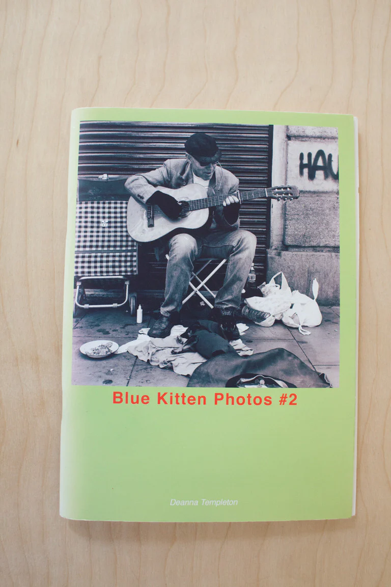 Blue Kitten Photos #1, 2, & 3 - Image 6