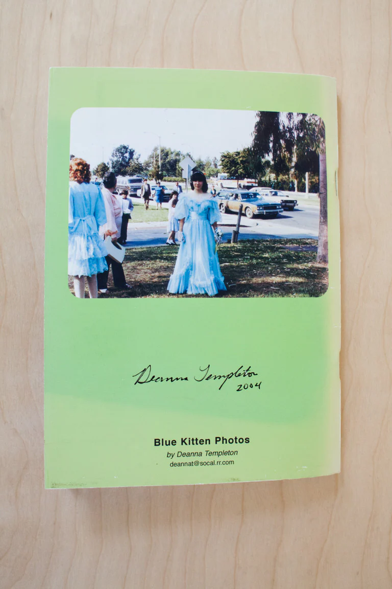 Blue Kitten Photos #1, 2, & 3 - Image 9